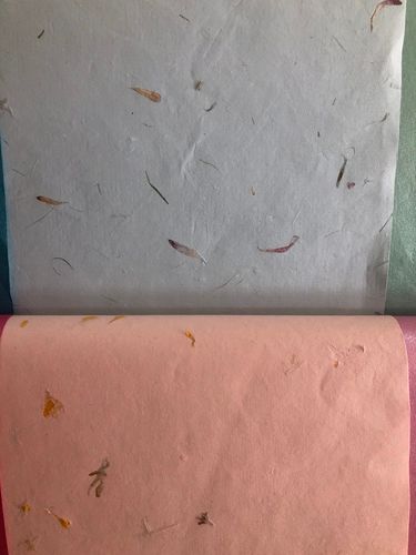 Handmade Flower Pressed Papers Size: 22X30