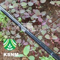 Cost-Effective Drip Irrigation System