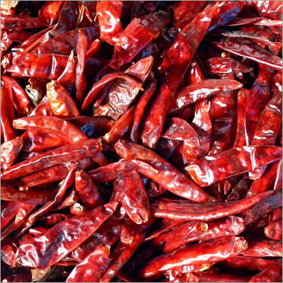 Dried Red Chilli - High Quality Spices, Superior Flavor & Health Benefits in Safe Packaging