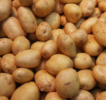 High Quality Fresh Potatoes