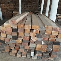 High Quality Sal Wood Logs