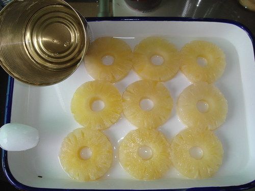 Canned Pineapple Sliced with Syrup 567G