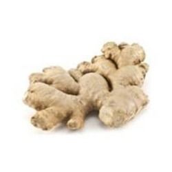 Fresh Organic Raw Ginger