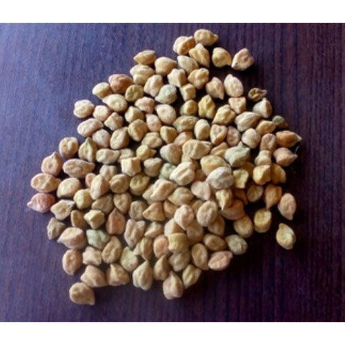 Fresh Organic Desi Chana