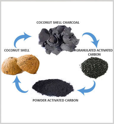 Coconut Shell And Powder