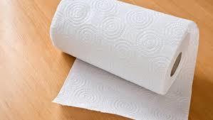 Disposable Simple Paper Towel