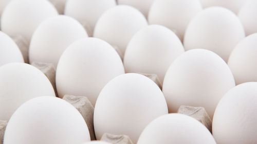 Fresh White Chicken Eggs - 360 Egg Per Carton, Neutral Brown & White HOZK Strong Seaworthy Export Cartons