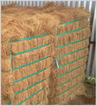 Quality Baled Coir Fiber