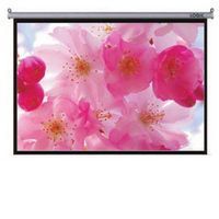 Motorized Projection Screen