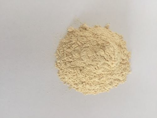 Premium Dried Garlic Powder