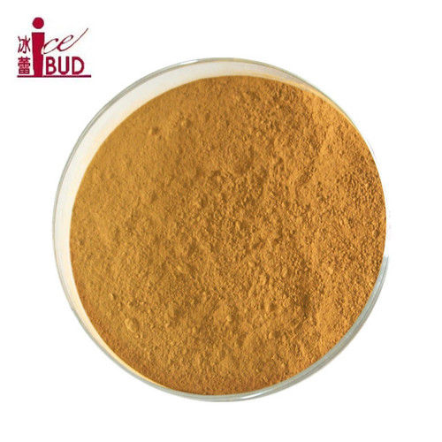 Yelow Green Tea Extract