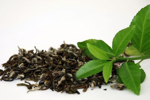 Pure And Fresh Green Organic Tea