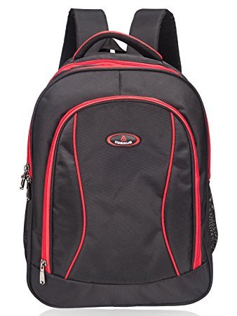 M Polyester School Backpack For Girls And Boys 7th To 10th Standard