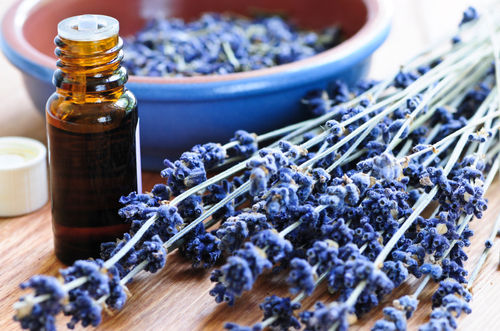 Durable Lavender Essential Oil