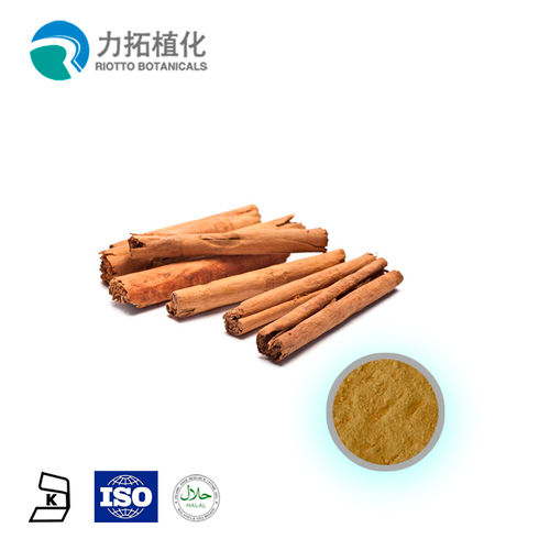 High Quality Cinnamon Extract