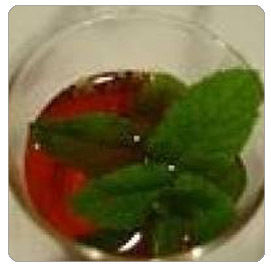 High Quality Basil Oil