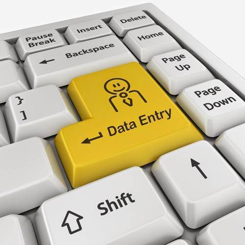 Telecom Data Entry Project Service