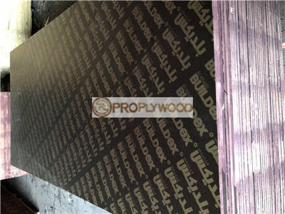 Low Formaldehyde Releasing 12Mm/15Mm/18Mm/20Mm/Black Film Faced Plywood