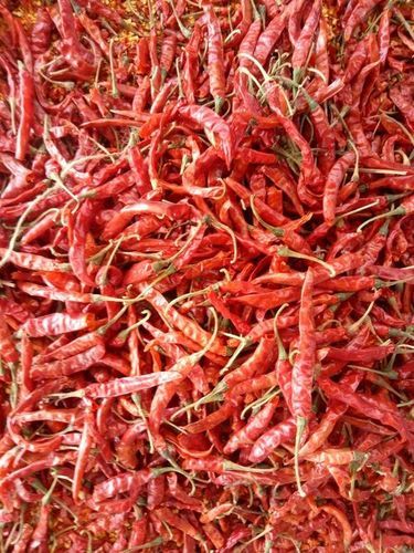 Highly Nutritious Teja Red Chili