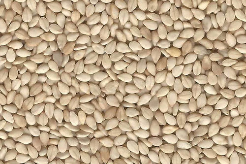 White Natural Sesame Seeds