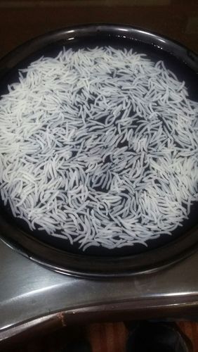 1121 Long Basmati Rice