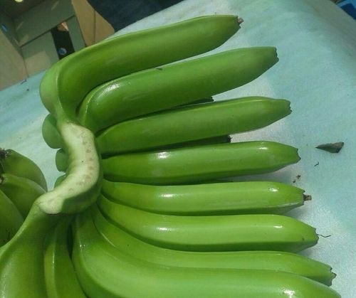 Fresh And Nutritious Green Bananas