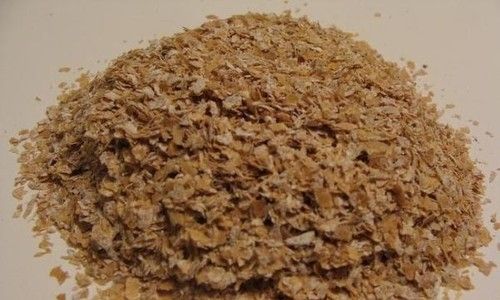 Fresh Quality Wheat Bran