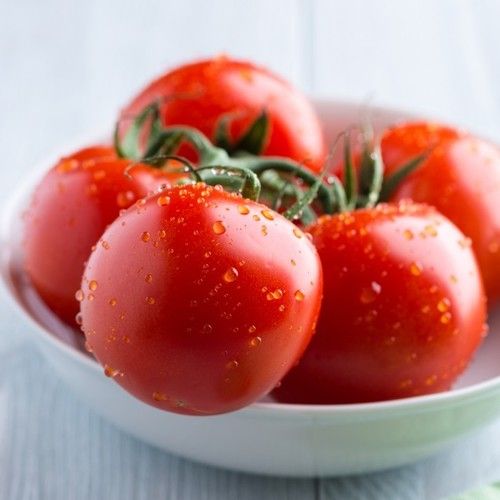 High Grade Fresh Tomatoes