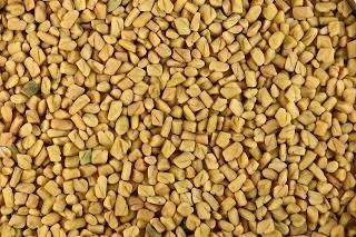 Fresh Organic Fenugreek Seed