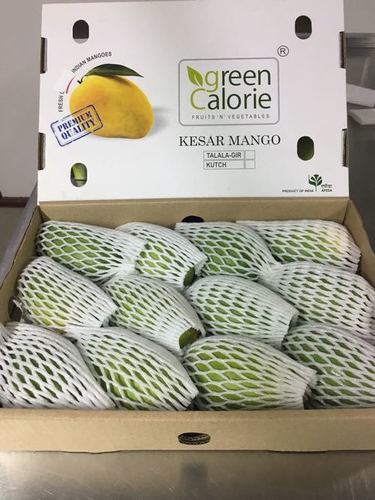 Premium Quality Kesar Mango