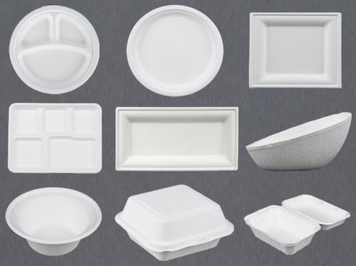 Paper Plate Food Trays Paper Cups