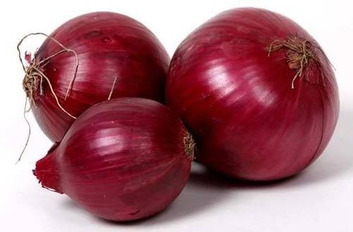 Pure Red Fresh Onion