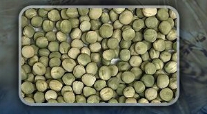 High Grade Dry Green Peas