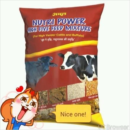 Nutri Power High Five Feed Mixture Cattle Feed