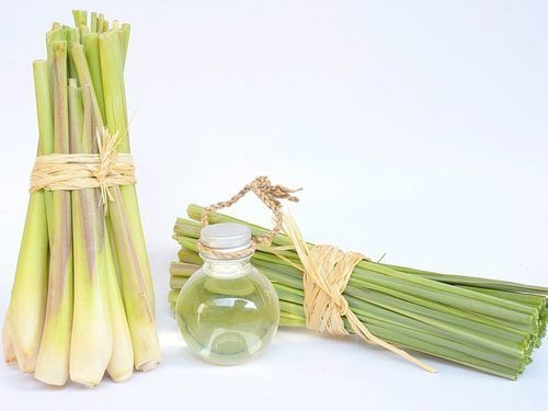 Precisely Made Lemongrass Oil