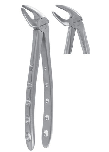 Rugged Dental Extracting Forceps