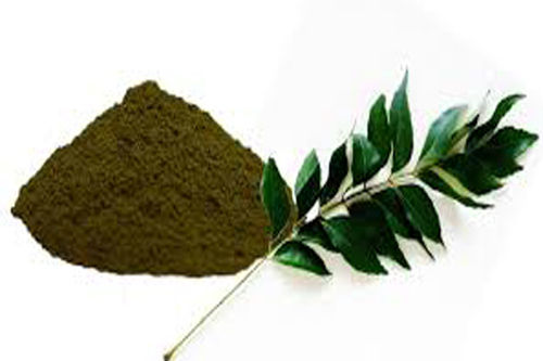 Natural Fresh Curry Leaves