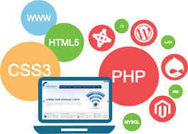 Customize Development Service