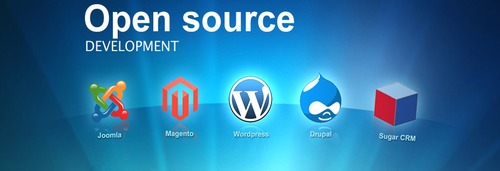 Open Source Development Services