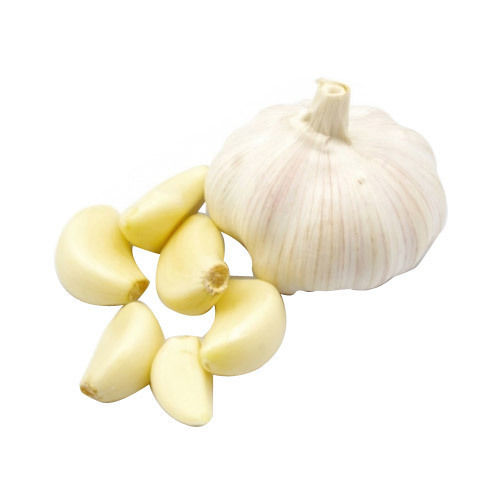 Fresh and Pure Garlic - Vegetable