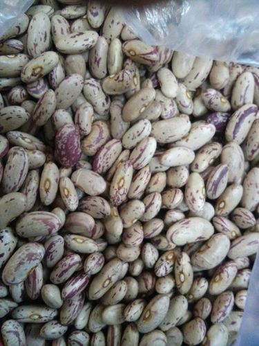 उचित मूल्य के साथ ताजा और शुद्ध राजमा