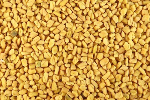 High Grade Fenugreek Seeds