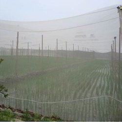 Anti Insect Net for Agriculture 