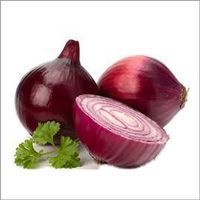 Best Cost-Effective Fresh Onion