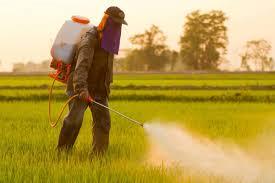 Higher Reliable Agricultural Pesticide 