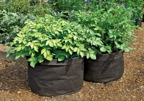 Planter Bags For Garden