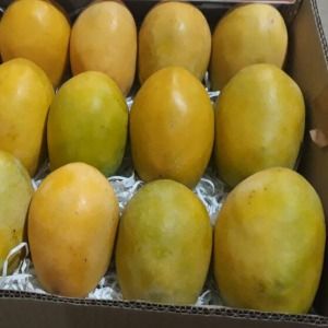 Very Sweet Hamam Mango