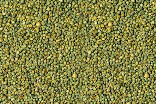 High Grade Green Millet