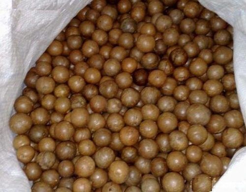 High Grade Macadamia Nuts