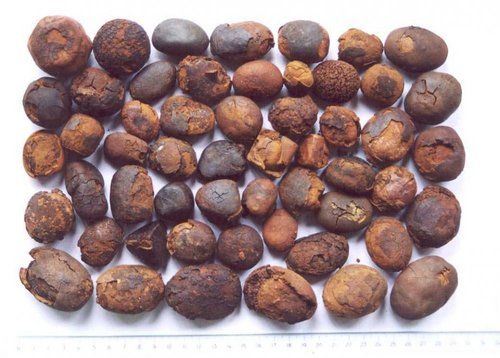 High Grade Ox Gallstone